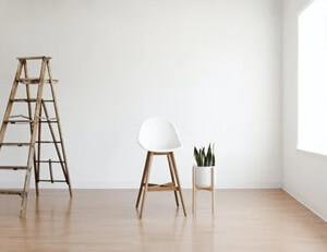 布莱顿客场大胜,继续保持不败