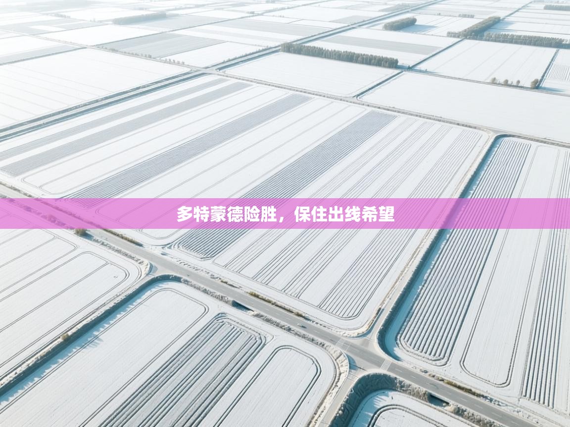 多特蒙德险胜,保住出线希望