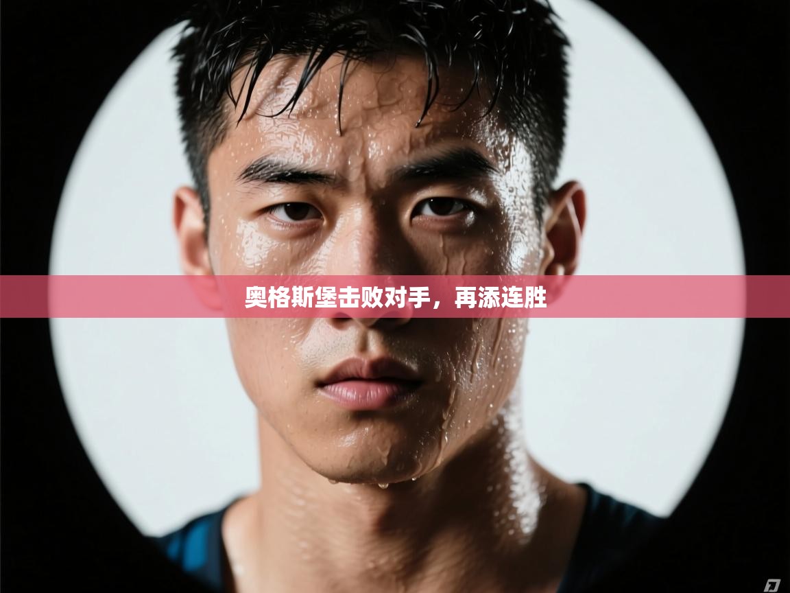 奥格斯堡击败对手,再添连胜 第2张