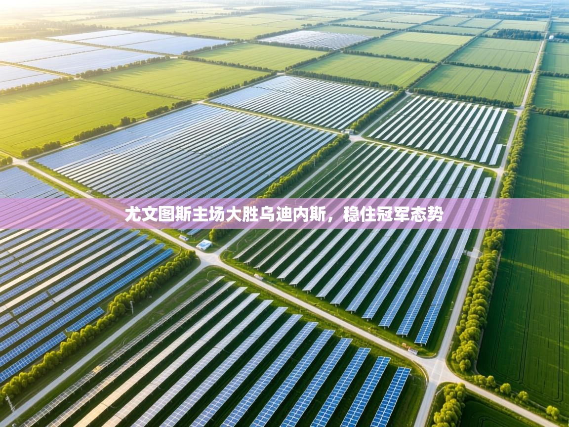 尤文图斯主场大胜乌迪内斯，稳住冠军态势  第1张