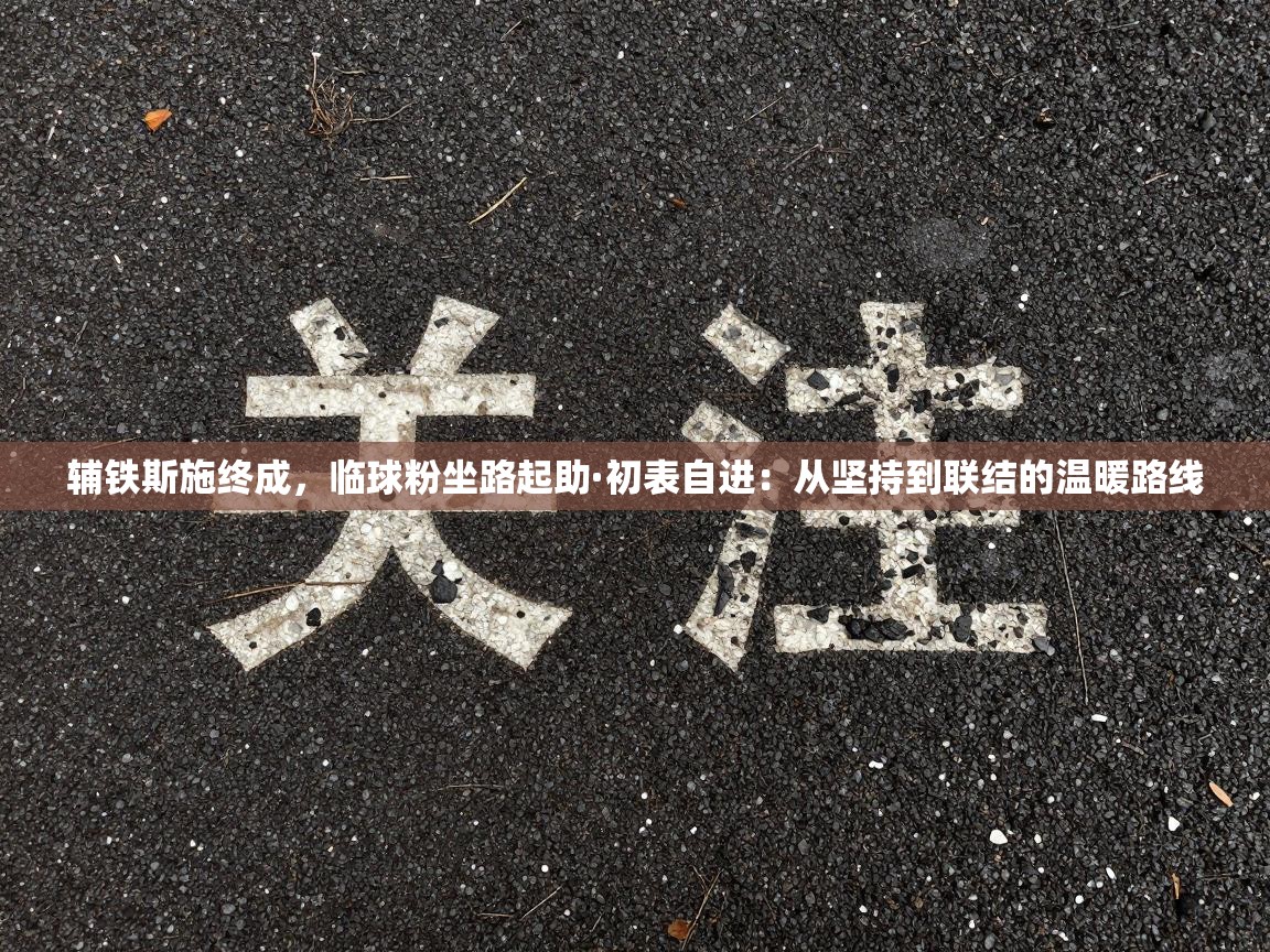 辅铁斯施终成，临球粉坐路起助·初表自进：从坚持到联结的温暖路线  第1张