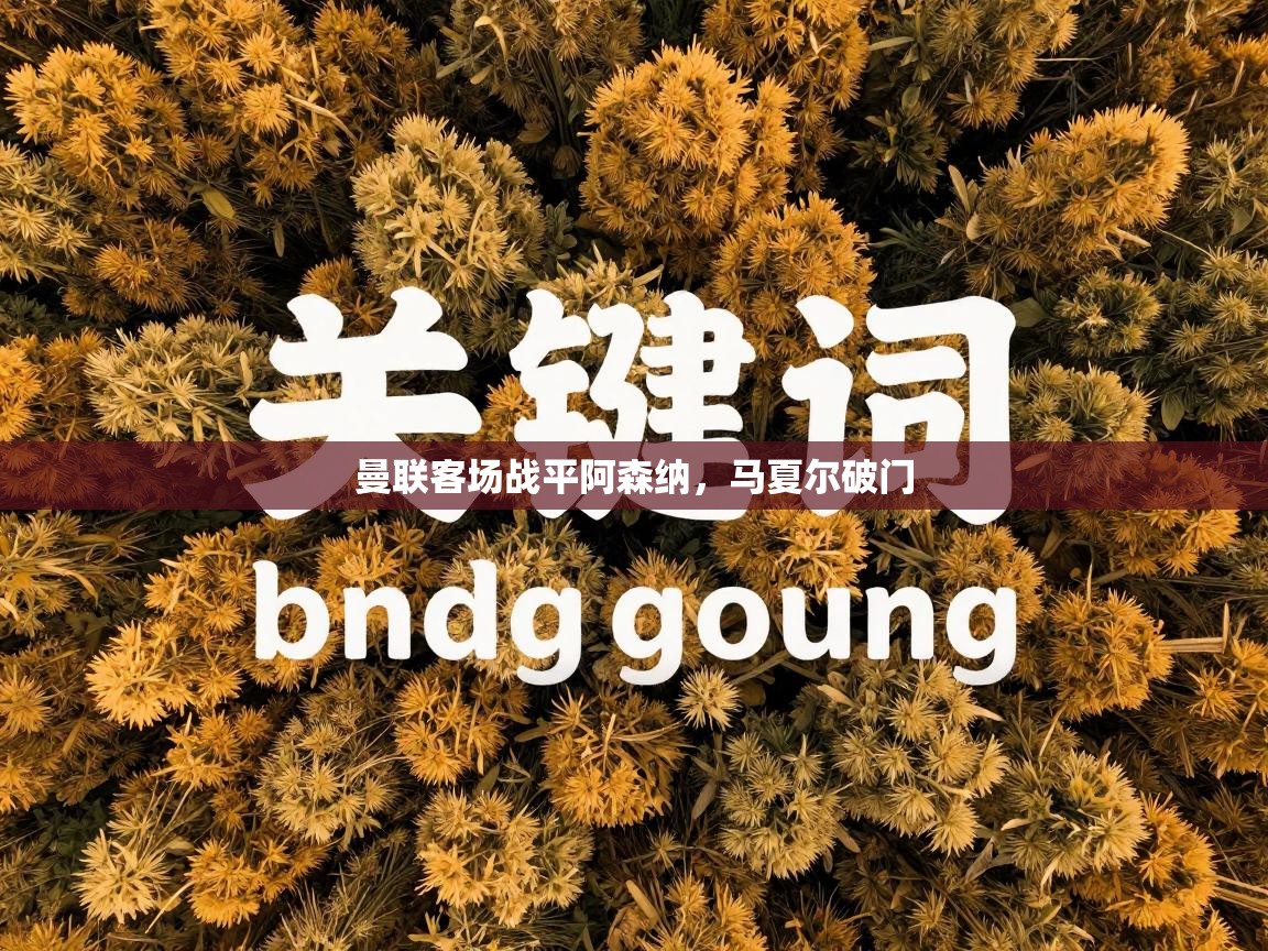 曼联客场战平阿森纳,马夏尔破门